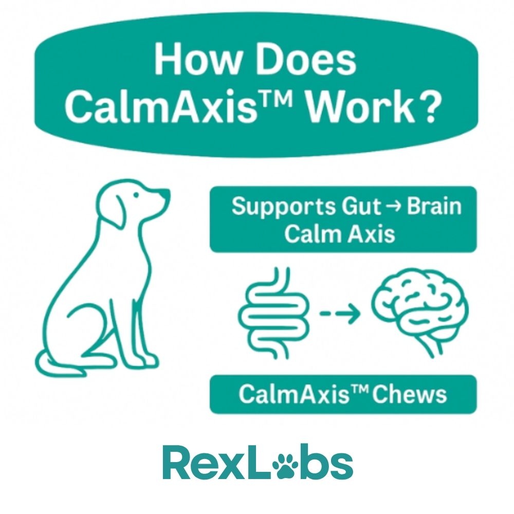 RexLabs CalmAxis Postbiotic Dog Chews