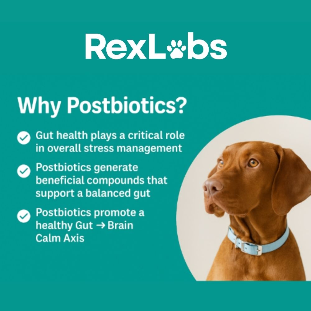 RexLabs CalmAxis Postbiotic Dog Chews